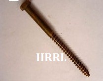 Round Phillips Head Self Tapping Screw